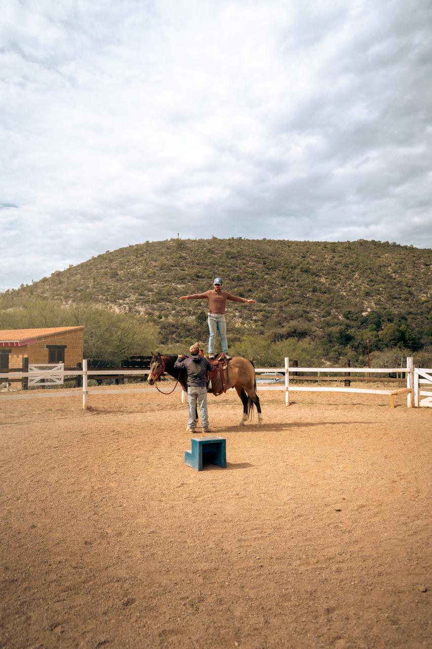 Horse Coaching